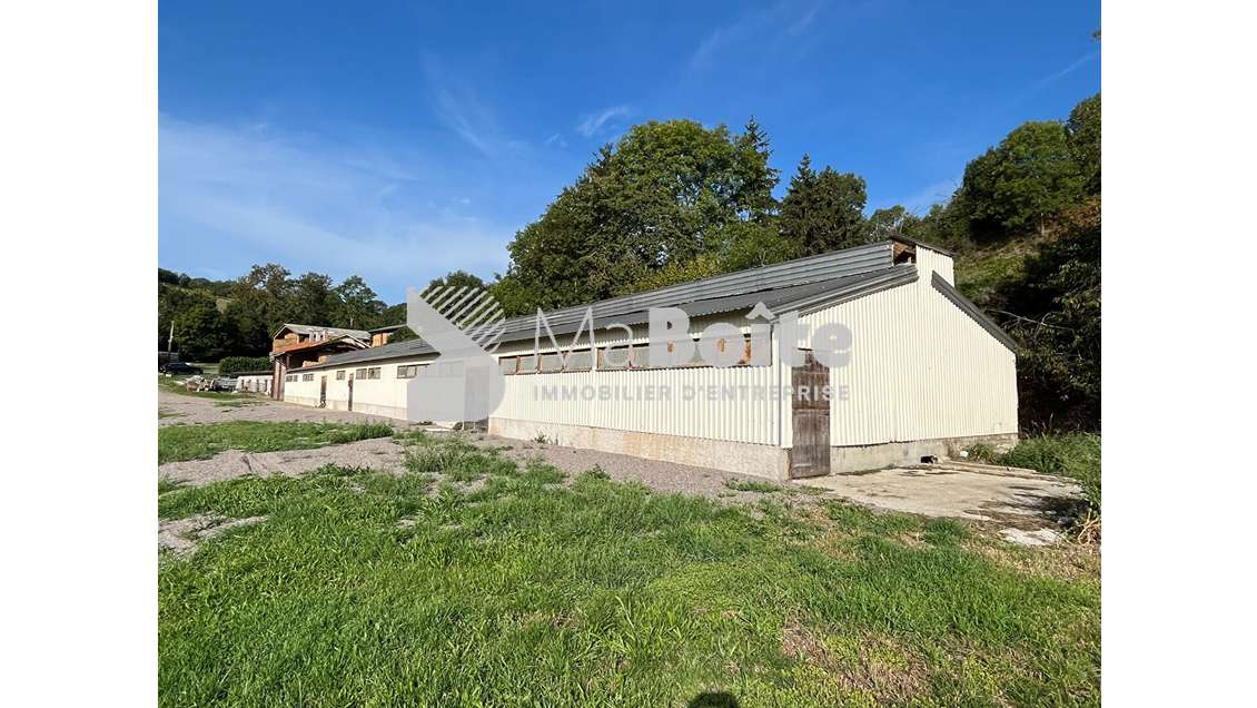 A louer local 500m² avec terrain de 1000m² Cherier