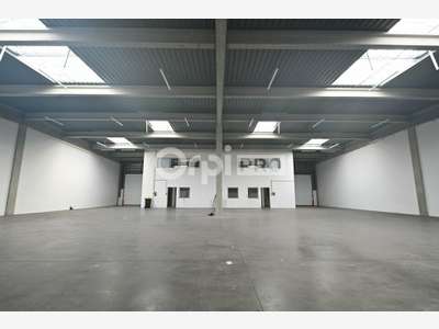 A louer cellule d'activité 889m² à Vaulx-en-Velin