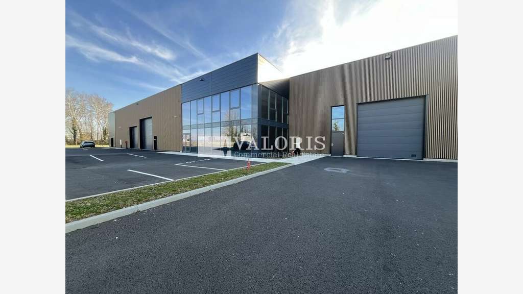 Locaux d'activité neufs Ambérieux d'Azergues A46