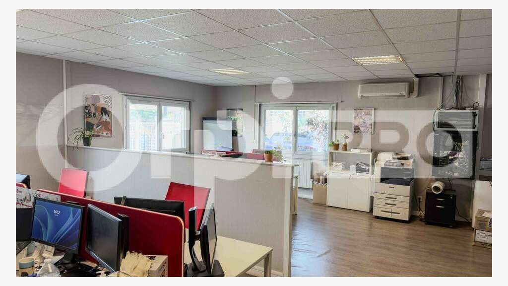 LOCAL D ACTIVITE - ANSE - 1390 m2