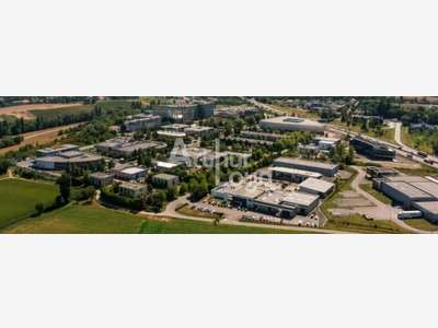 A LOUER - LOCAL D ACTIVITE ARCHAMPS 277 m²