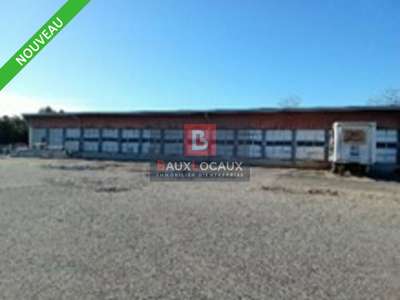 Location Locaux d'activités - Entrepôts à Avignon