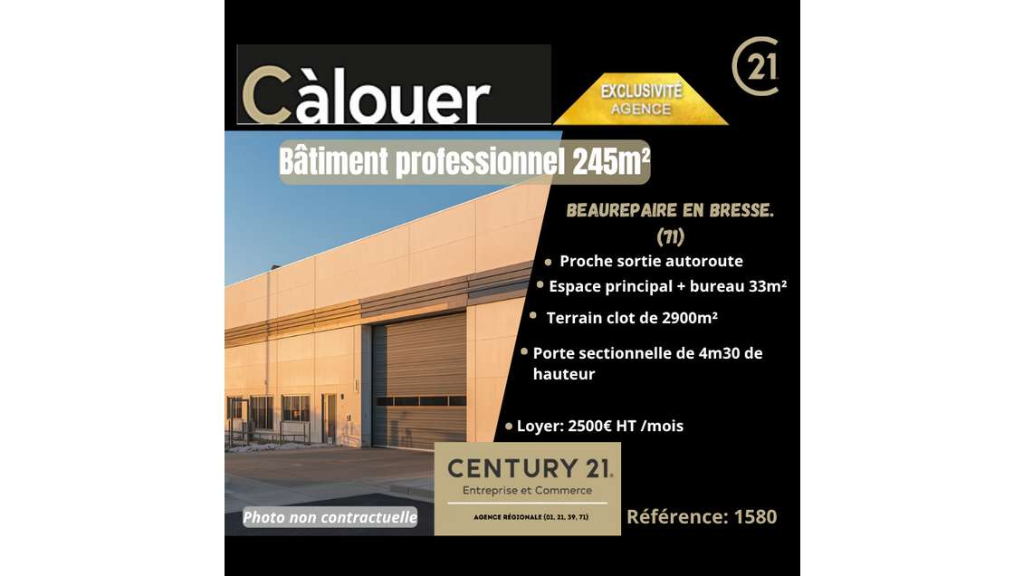 A louer bâtiment artisanal 245m² à Beaurepaire 