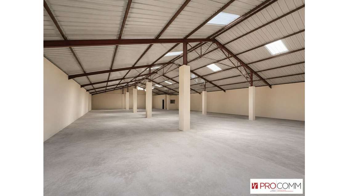 Entrepôt de stockage 365m² à louer à Bellegarde 