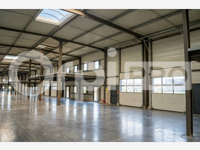 Local d'activité 1200m² à louer à Belleville N6