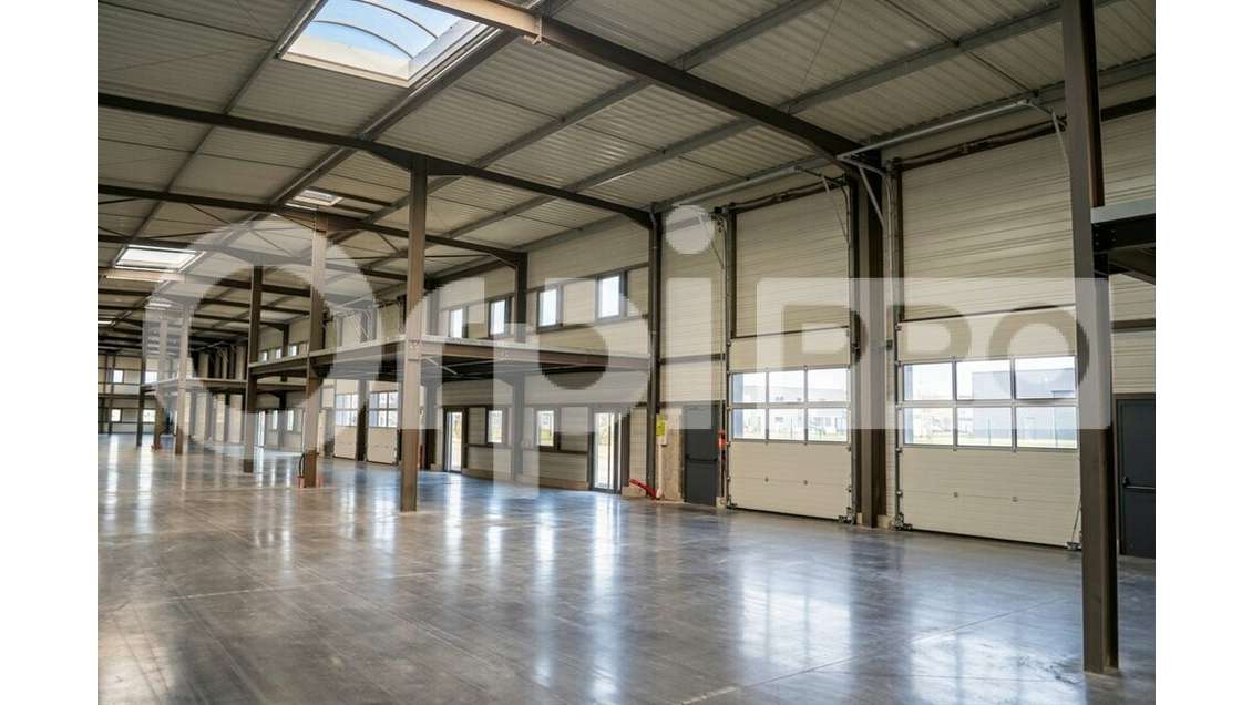 Local d'activité 1200m² à louer à Belleville N6