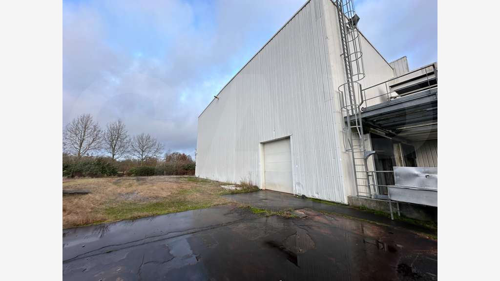 BÂTIMENT D’ACTIVITÉS À LOUER – BETTON (35). IMPORT