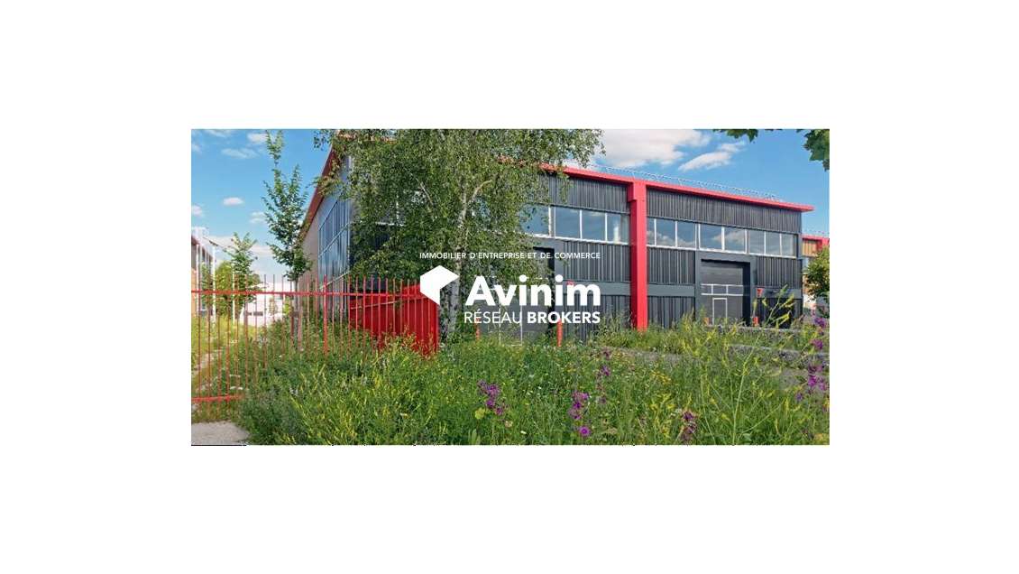 Immobilier Professionnel à louer