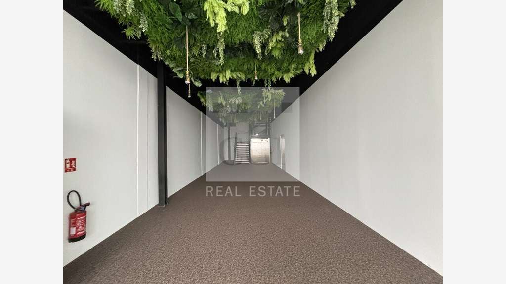 A louer bureaux de 115m² à Caluire et Cuire
