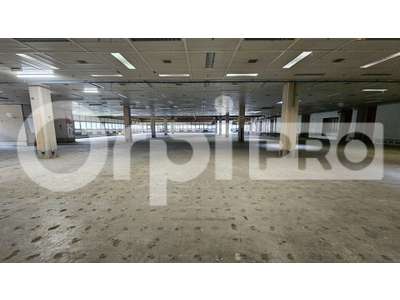 Location Locaux d'activités - Entrepôts à Canéjan