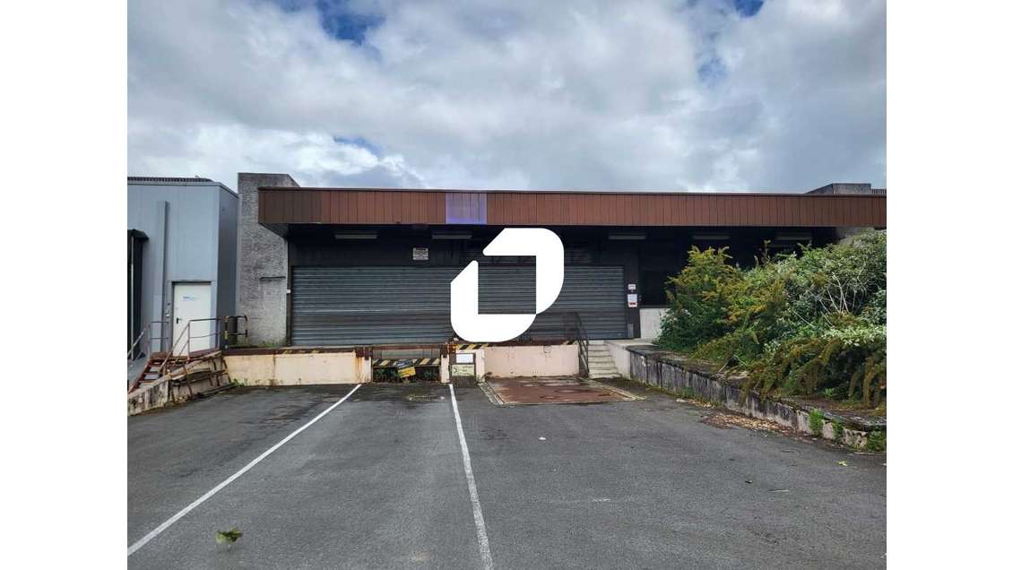 A louer Local d'activité 5266m² Canejan