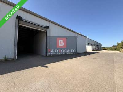 Location Locaux d'activités - Entrepôts à Cavaillon