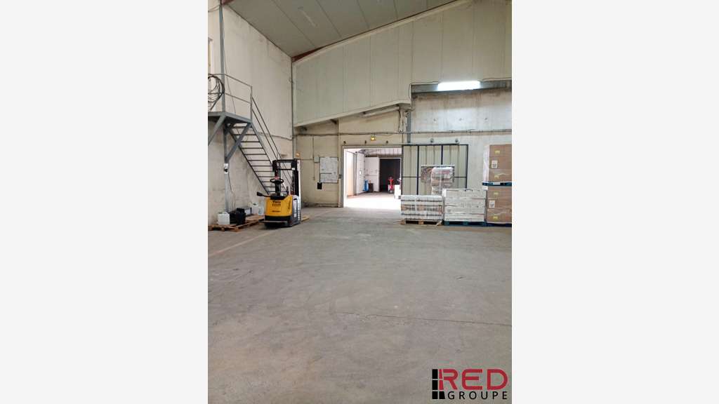 ENTREPÔT 1 176 M² DIVISIBLE À PARTIR DE 300 M² – 5