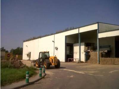 À louer local d'activités 10072m² à Cazères