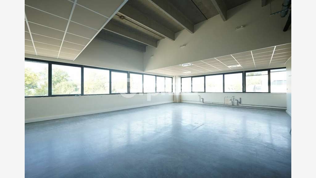 Local mixte 1448m² à louer Champagne-au-Mont-d'Or