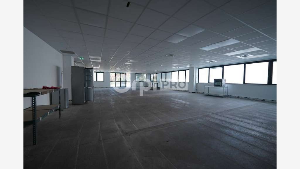 Local mixte 1448m² à louer Champagne-au-Mont-d'Or