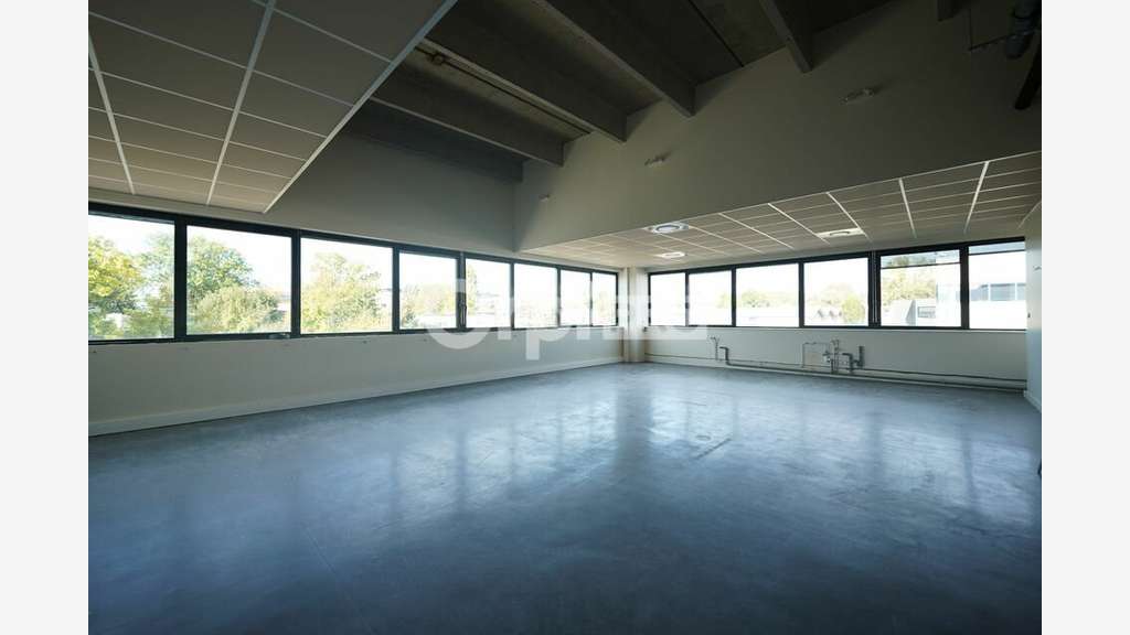 Local mixte 1448m² à louer Champagne-au-Mont-d'Or
