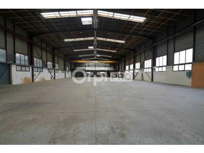 Location Locaux d'activités - Entrepôts à Chassieu