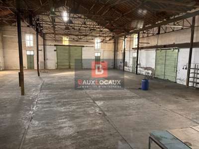 Local d'activité à louer à Châteaurenard La Crau