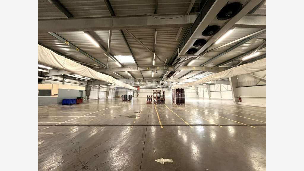 Entrepôt logistique 10200m² à louer Châteaurenard