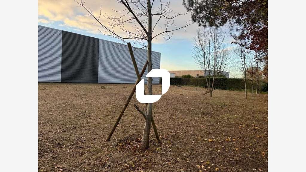 A louer Local d'activité 960m² Chelles