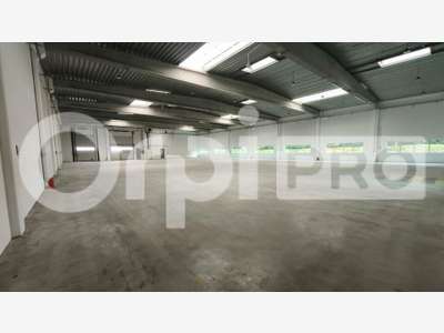 Bâtiment logistique 3980m² à louer Chilly-Mazarin