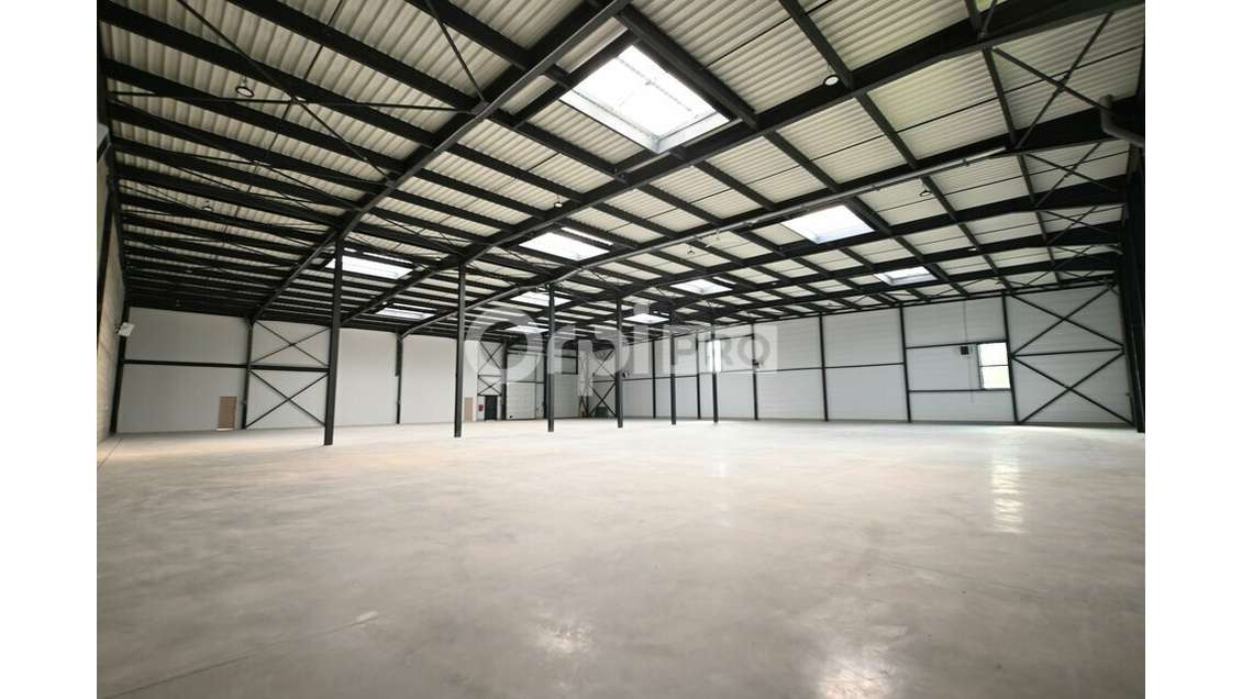 Local activité 3328m² à louer à Colombier-Saugnieu