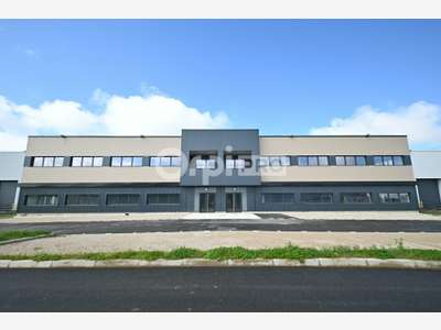 Local activité 3328m² à louer à Colombier-Saugnieu