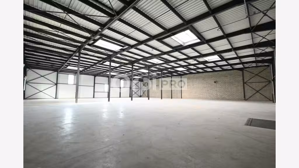 Local activité 3328m² à louer à Colombier-Saugnieu
