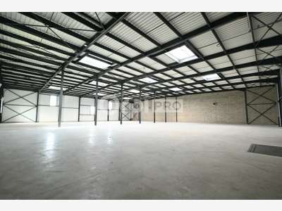 Local activité 3328m² à louer à Colombier-Saugnieu