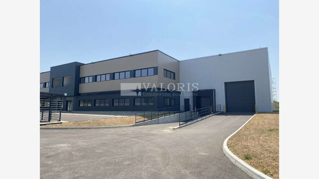 Cellule 1664m² à louer à Colombier-Saugnieu