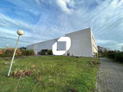 Location Locaux d'activités - Entrepôts à Combs-la-Ville