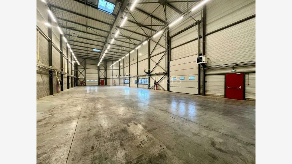 Local d'activité 564m² à louer Dagneux proche A42