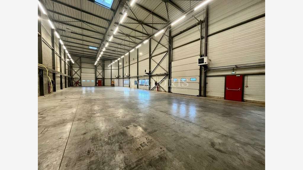 Local d'activité 564m² à louer Dagneux proche A42