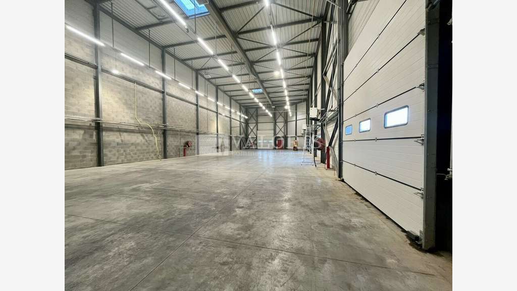 Local d'activité 564m² à louer Dagneux proche A42