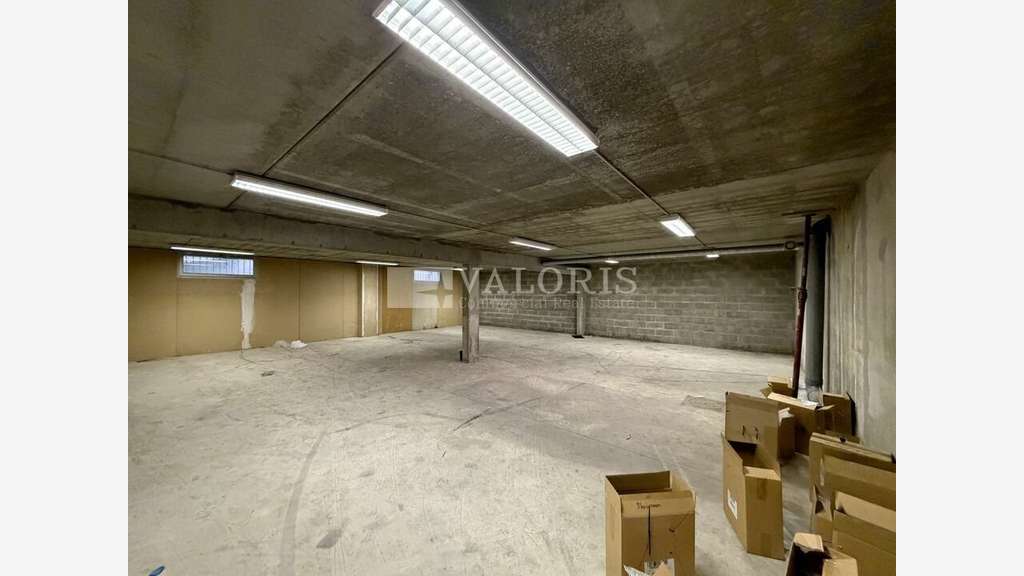 A louer local industriel 519m² à Dardilly Techlid