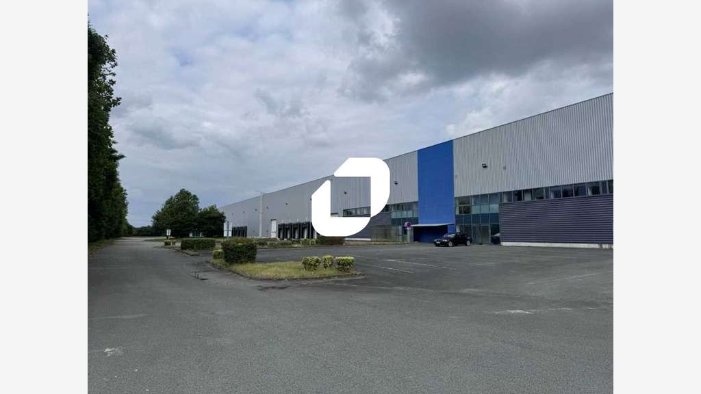 A louer Local d'activité 17536m² Dechy
