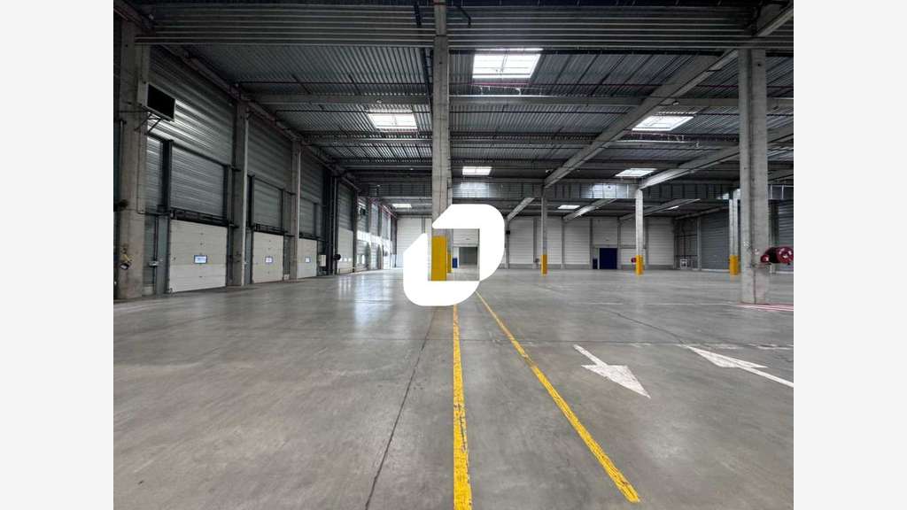 A louer Local d'activité 17536m² Dechy