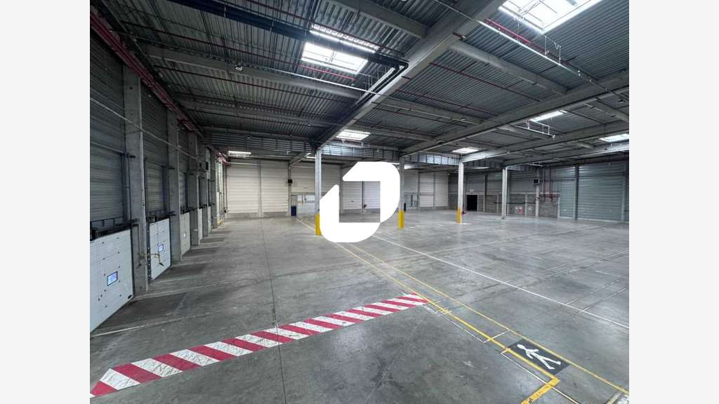 A louer Local d'activité 17536m² Dechy