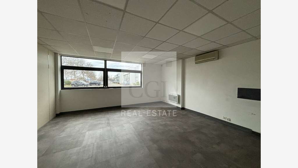 Local d'activité 733m² à louer à Décines-Charpieu
