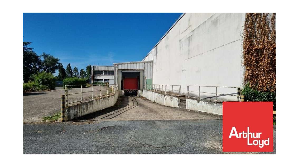 Entrepôt 1990m² divisible à louer à Dissay 