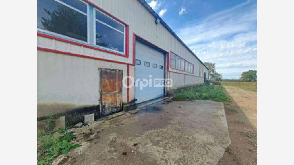 Local d'activité de 704m² à louer en ZA Domérat