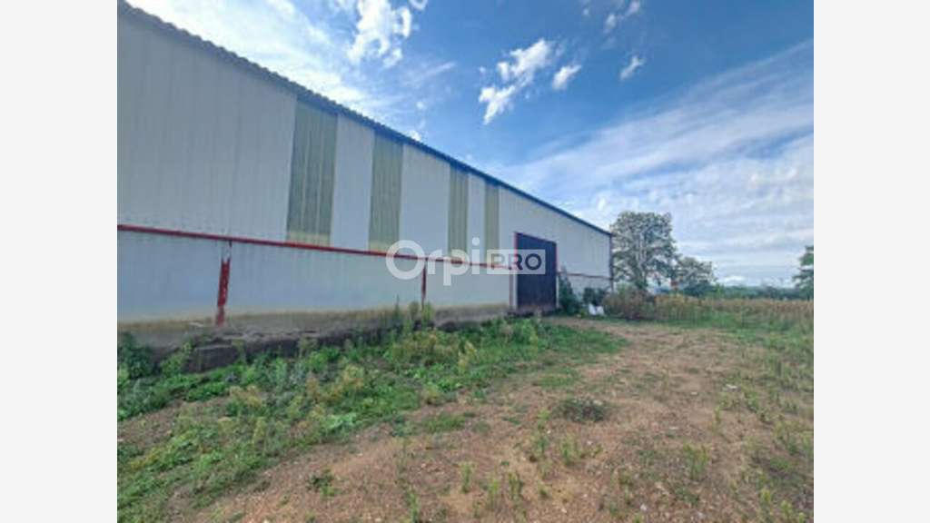 Local d'activité de 704m² à louer en ZA Domérat