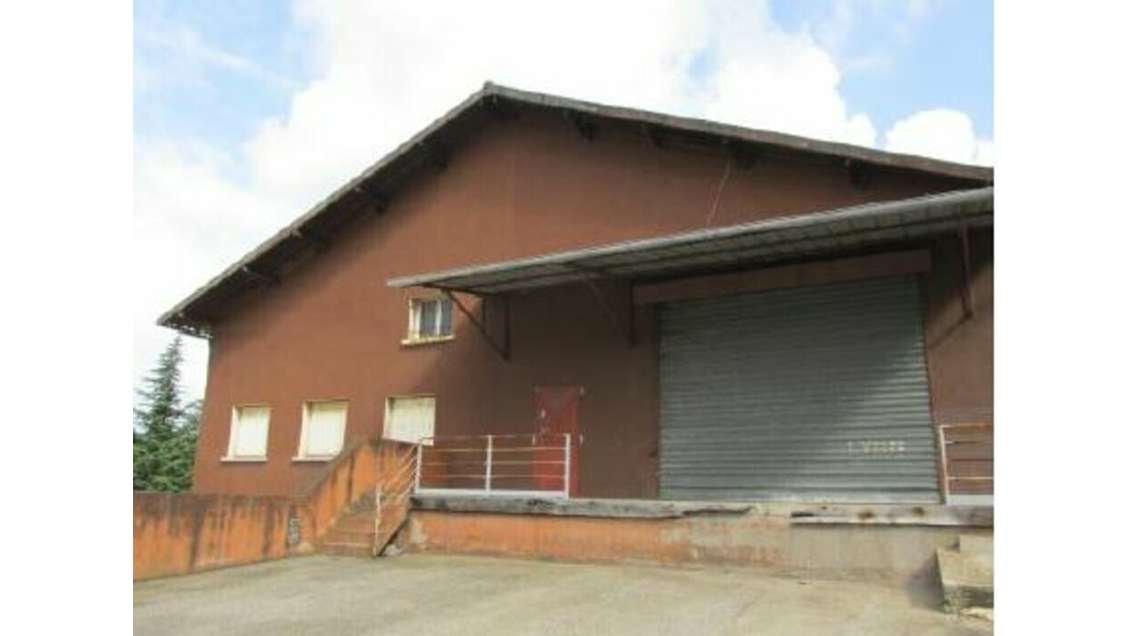 Local d'activités 405m² à louer Fleurieu-sur-Saône