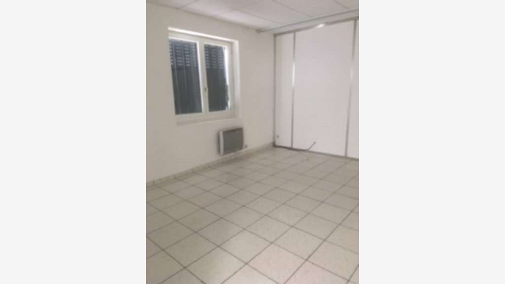 Local d'activités 405m² à louer Fleurieu-sur-Saône