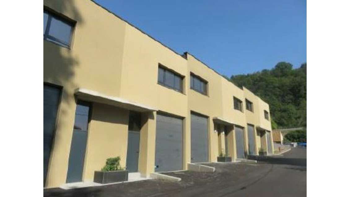 Local d'activités mixte 349m² Fleurieu sur Saône