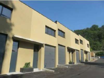 Local d'activités mixte 349m² Fleurieu sur Saône