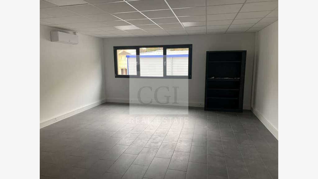 Loue local d'activités 288m² à Fleurieu sur Saône
