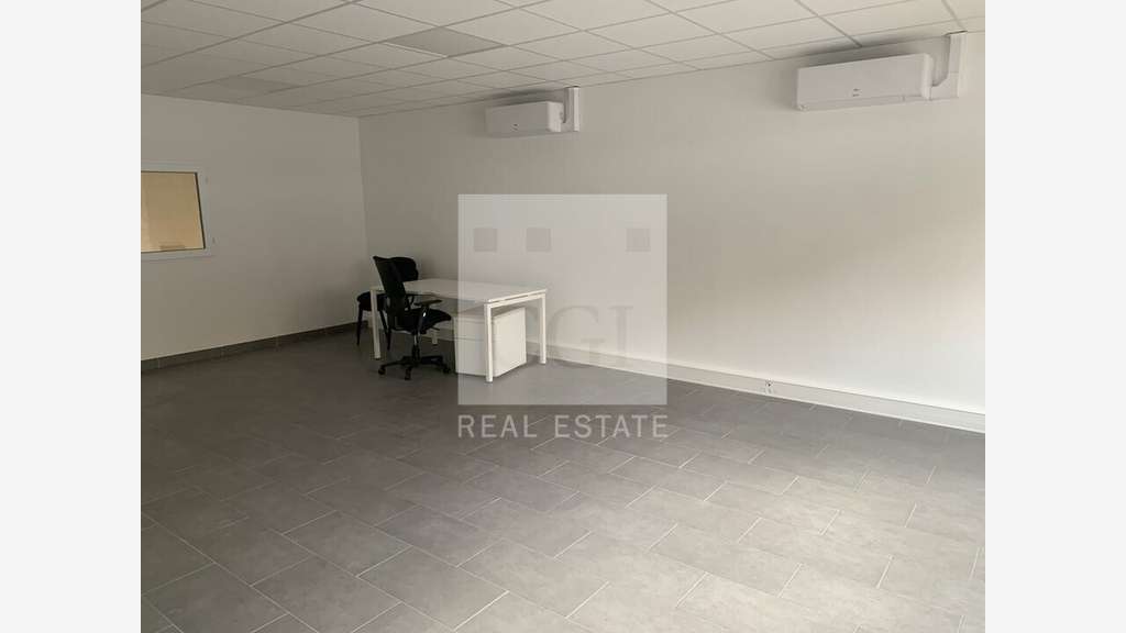 Loue local d'activités 288m² à Fleurieu sur Saône