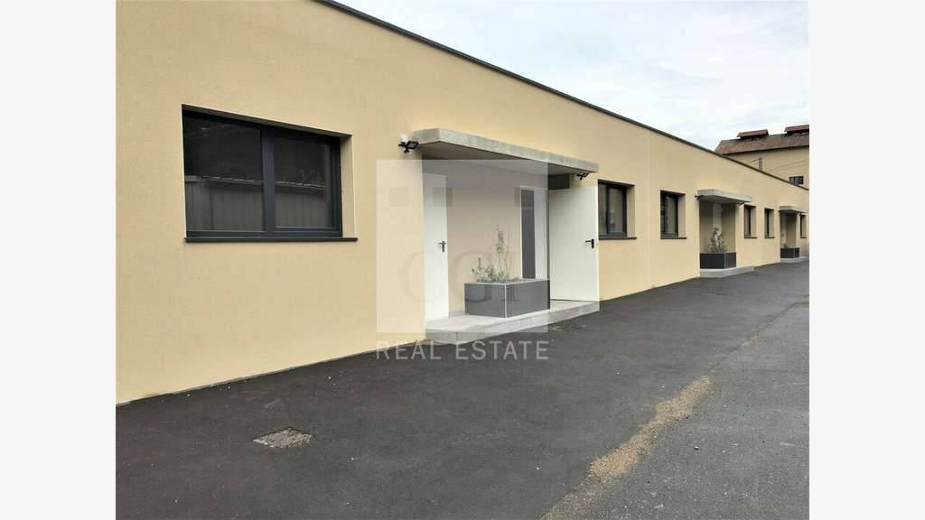 Loue local d'activités 288m² à Fleurieu sur Saône